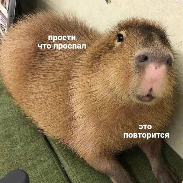 Мем, Микки Маус