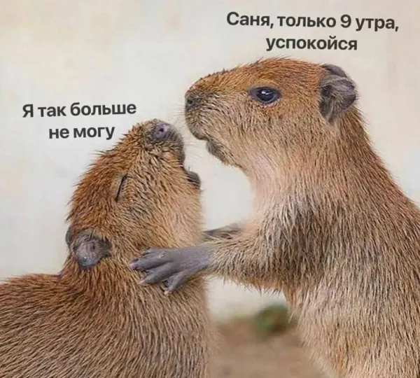 Мем, Микки Маус
