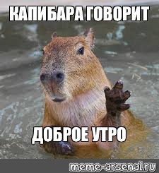 Мем, Микки Маус