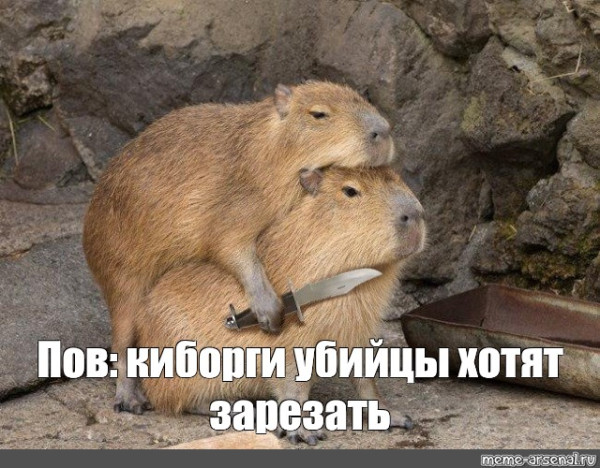 Мем, Микки Маус