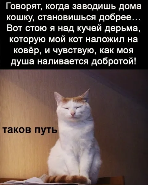 Мем, Смехалка