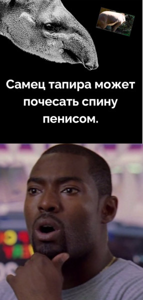 Мем, Mghost