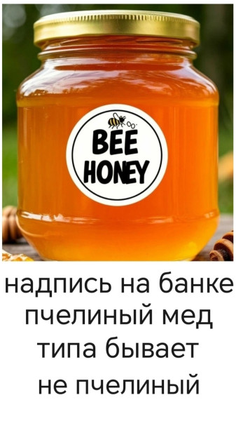 Мем, Лис Интересный