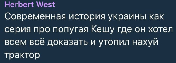 Мем, Максим Камерер