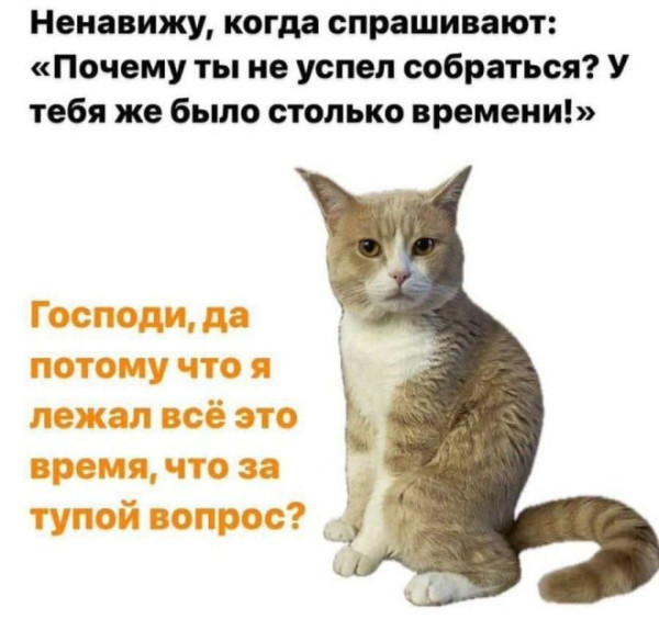 Мем: Прикол дня, iteam