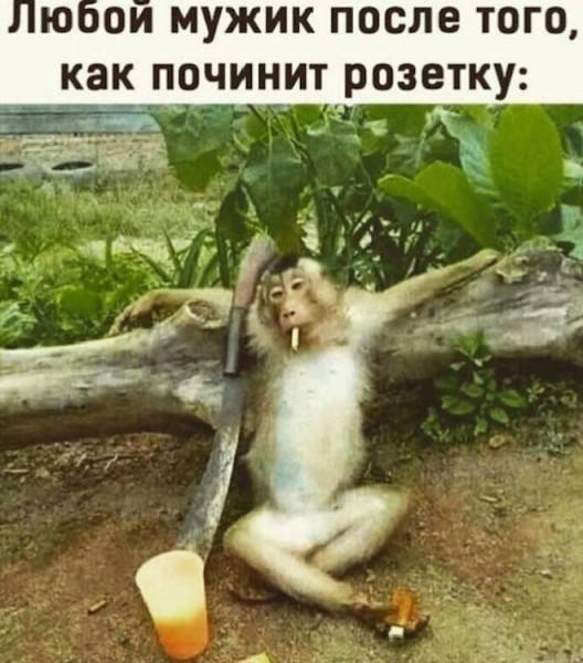 Мем: Прикол дня, iteam