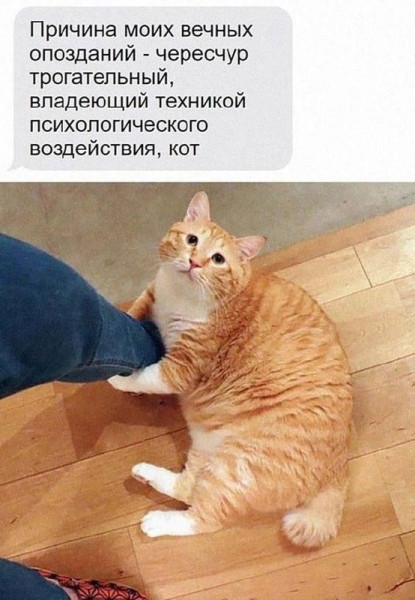 Мем, Леонид Хлыновский