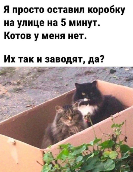 Мем, Леонид Хлыновский