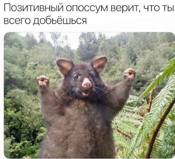 Мем: Юмор дня, iteam