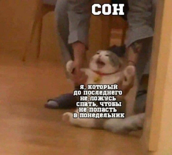 Мем: Юмор дня, iteam