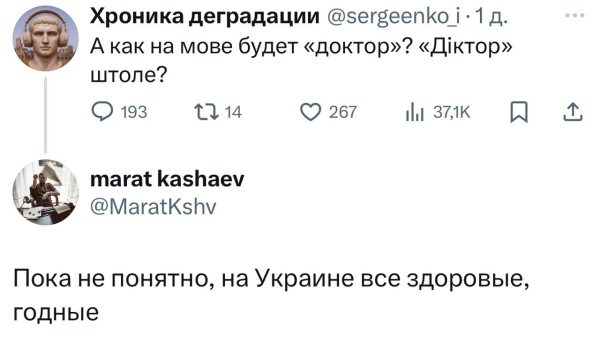Мем, Максим Камерер