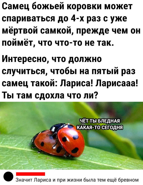 Мем