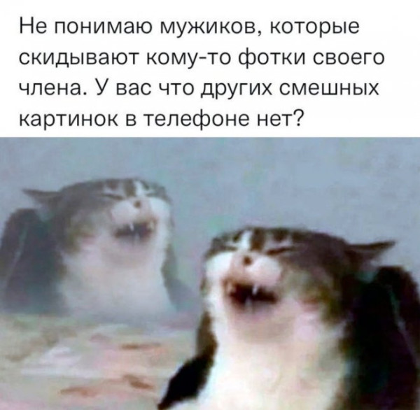 Мем