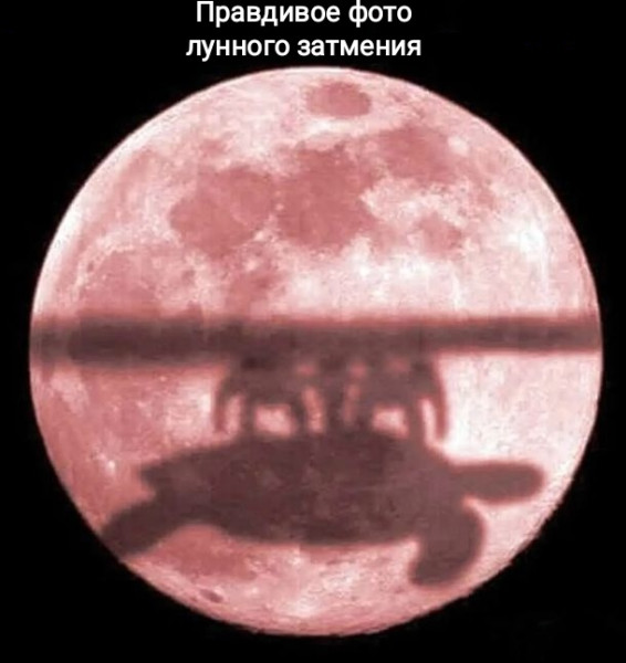 Мем, Рысь