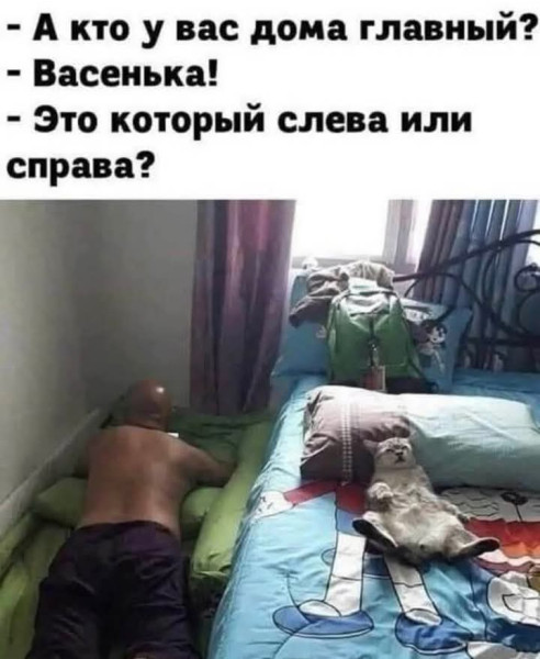 Мем, Анекдотчик