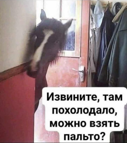 Мем, Анекдотчик