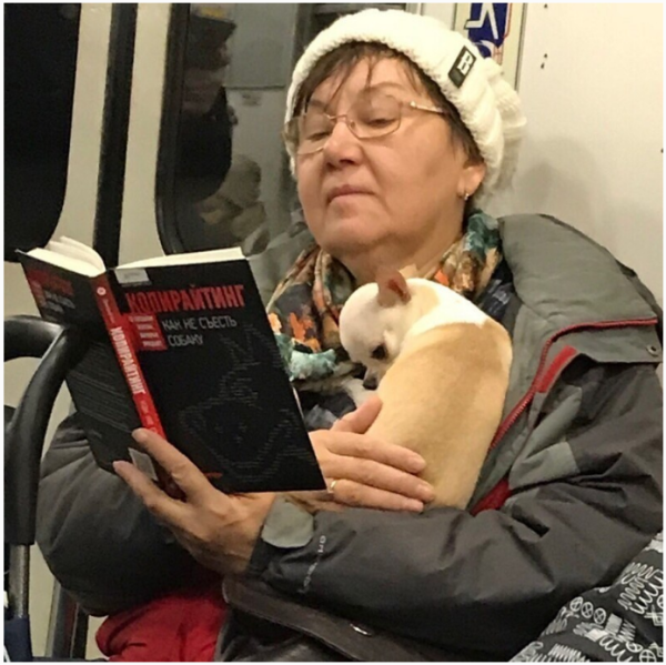 Мем, михельсон