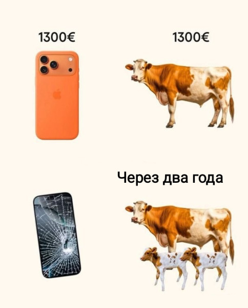 Мем, Рысь
