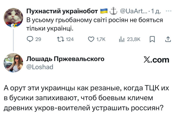 Мем, Максим Камерер