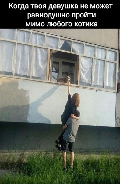 Мем, Рысь