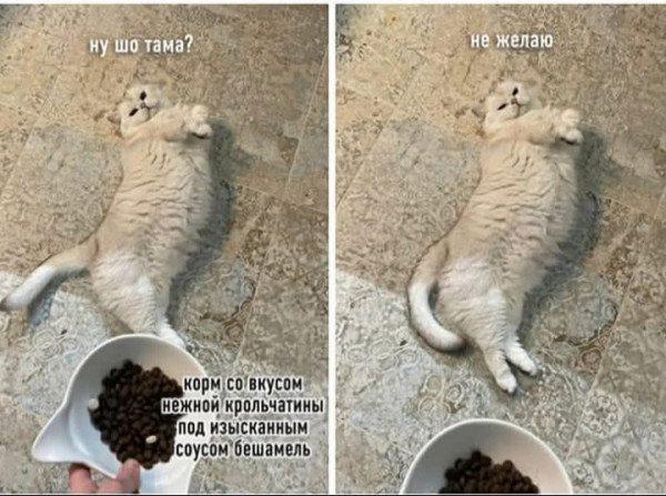 Мем, Анекдотчик