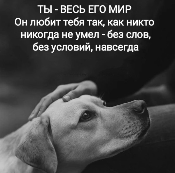 Мем, Рысь