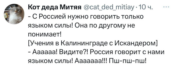 Мем, Mghost