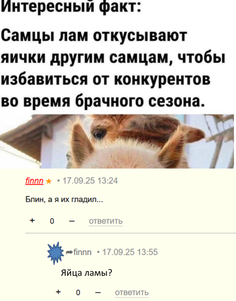 Мем