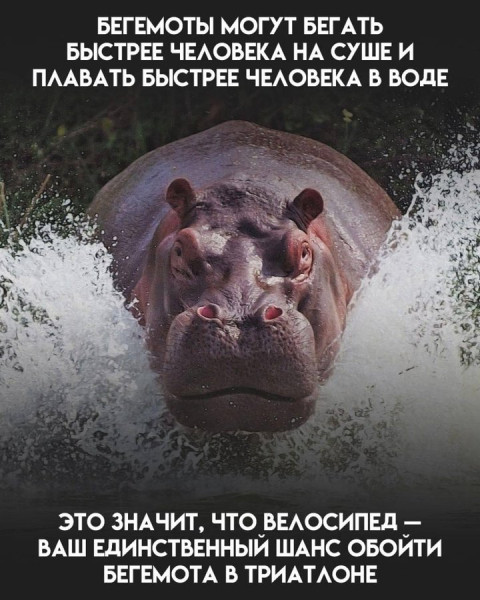 Мем, Hendry