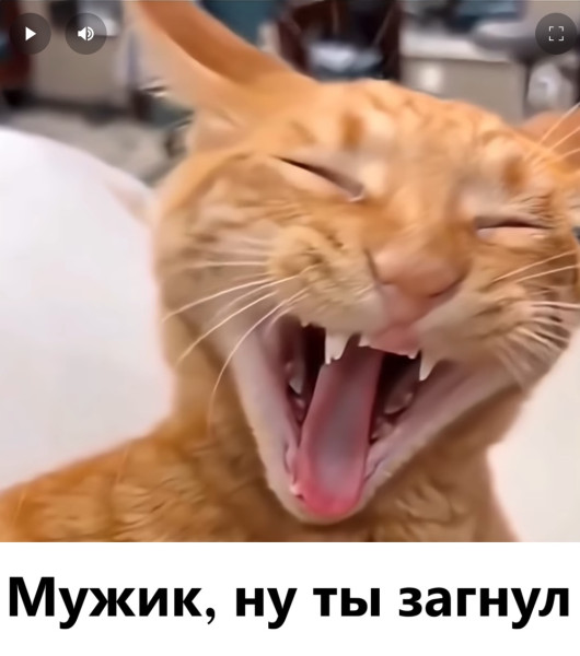 Мем, immar