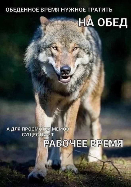 Мем: Юмор и приколы, iteam