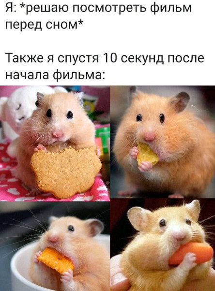 Мем: Жиза., henh