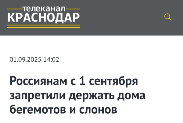 Мем, Максим Камерер