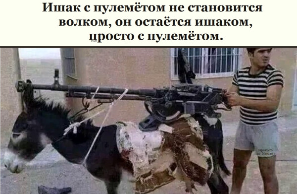 Мем, Александр САН