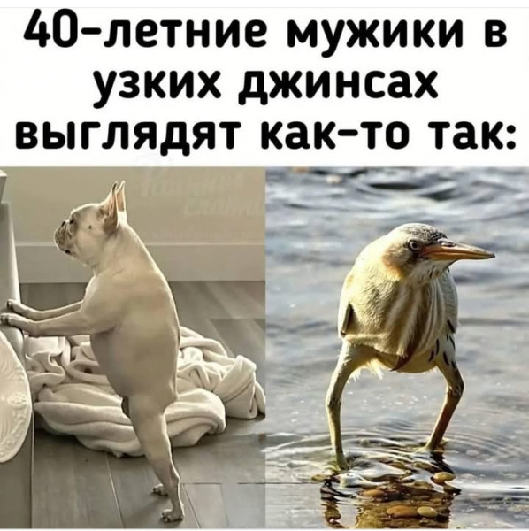 Мем, Анекдотчик