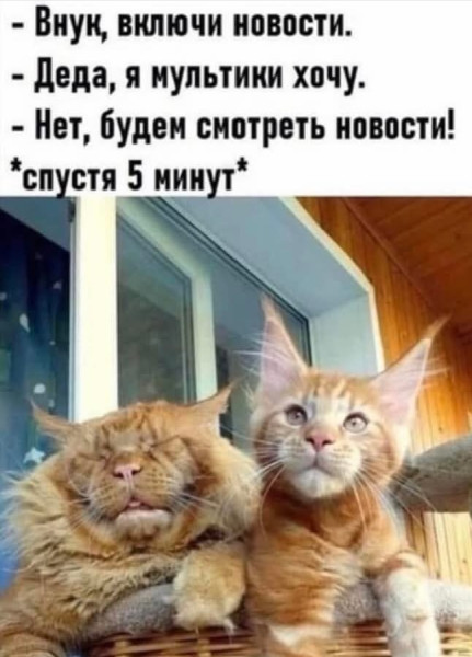 Мем, Анекдотчик