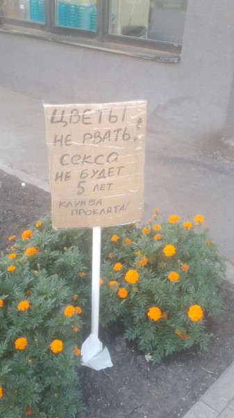 Мем, Ashmedai