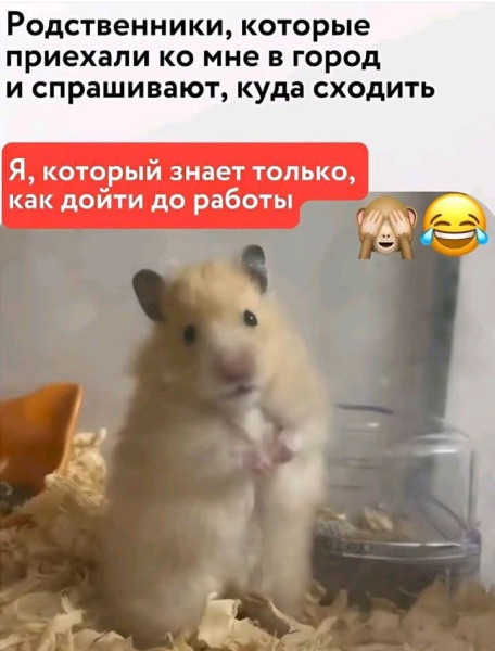 Мем, Анекдотчик