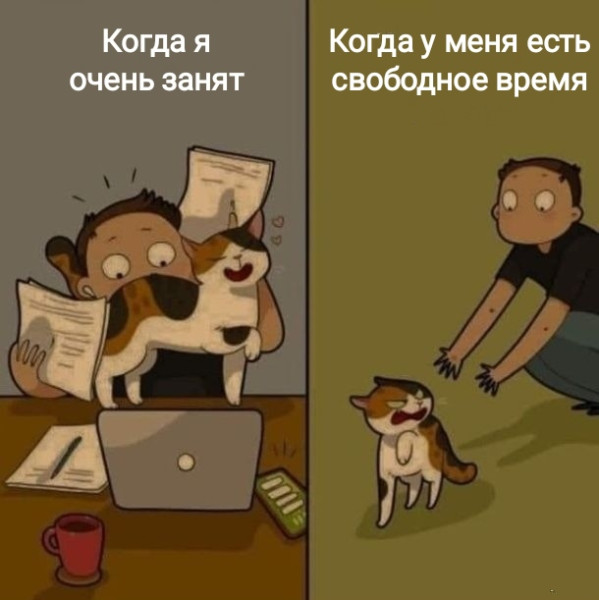 Мем, Рысь