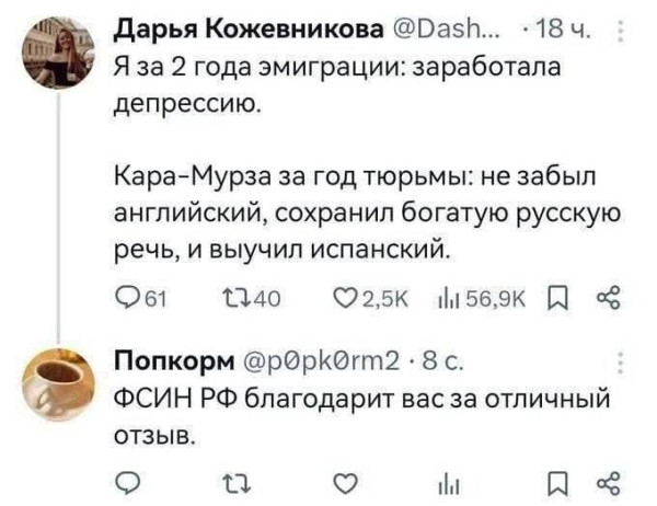 Мем: Либерахи не умеют жить на воле, Правдоруб Адекват