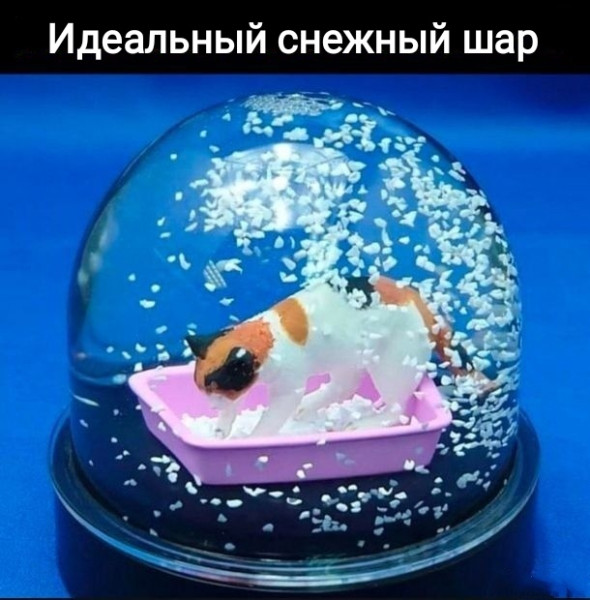 Мем, Рысь