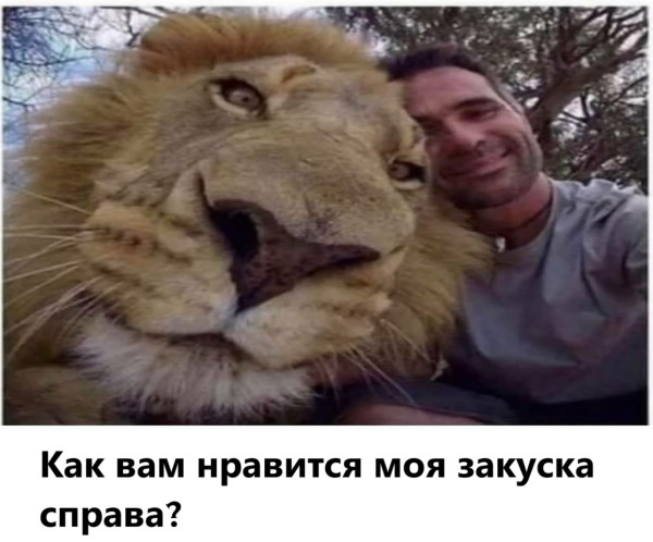 Мем, immar