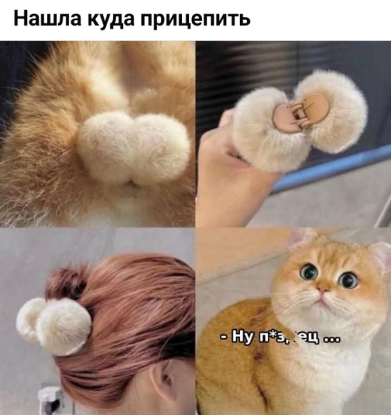 Мем, Анекдотчик