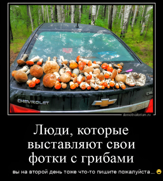 Мем