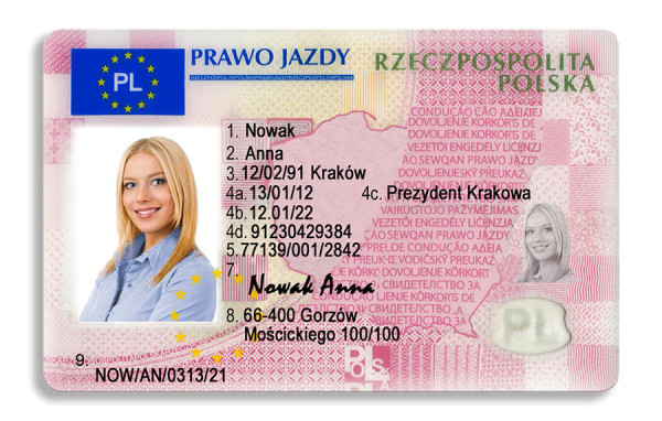 Мем: Prawo Jadzy, тпица