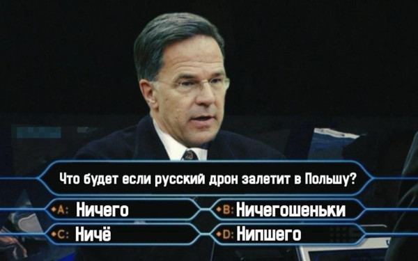 Мем: Рецепт рыбы по польски, Правдоруб Адекват