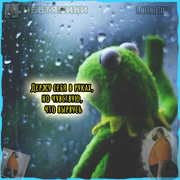 Мем: Держу, Nevtanut