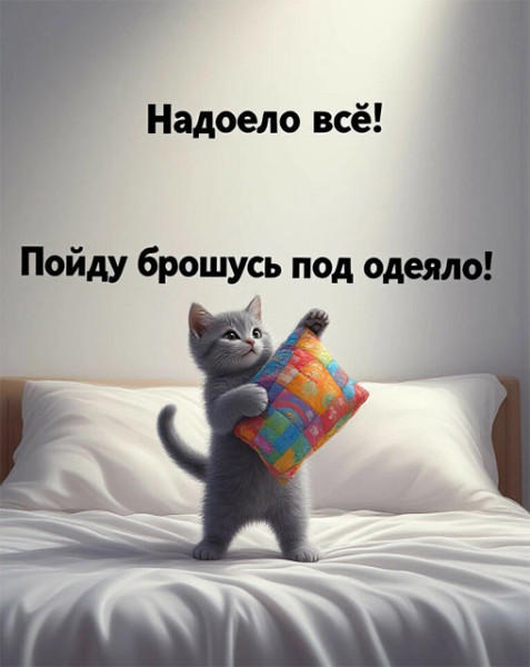 Мем