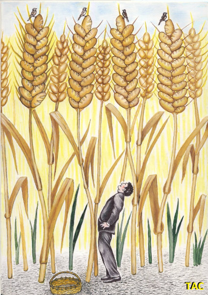 Мем: Новый урожай., Александр Троицкий