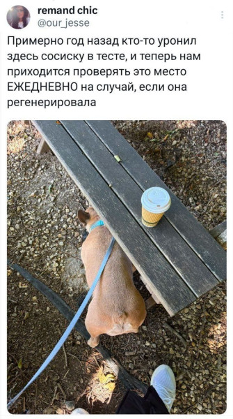 Мем: Он помнит., henh
